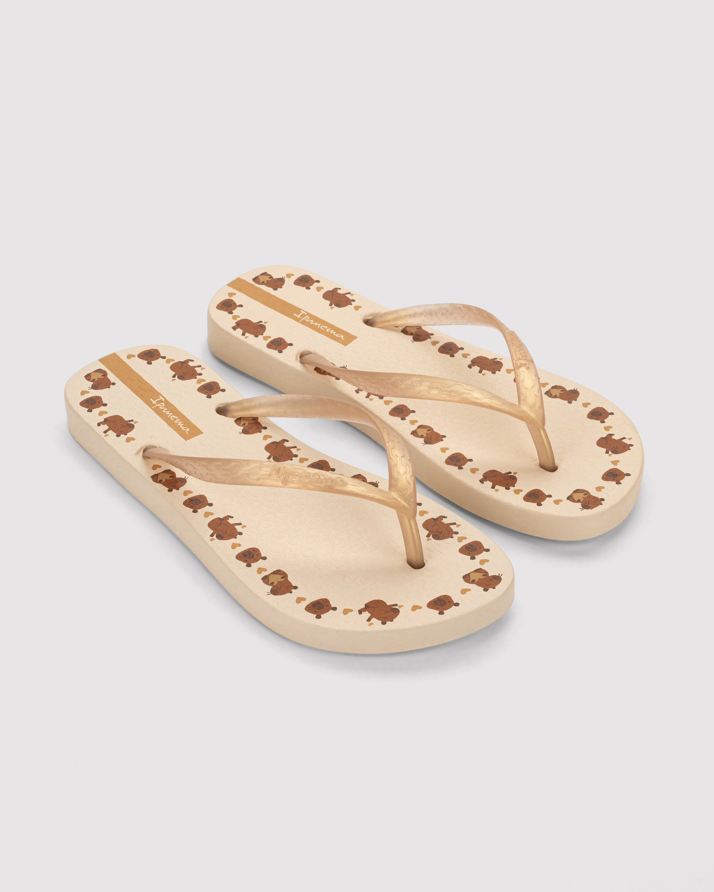 IPANEMA SANDALIA FLIP FLOP CAPIBARA LIGERA PLAYA MUJER 96642