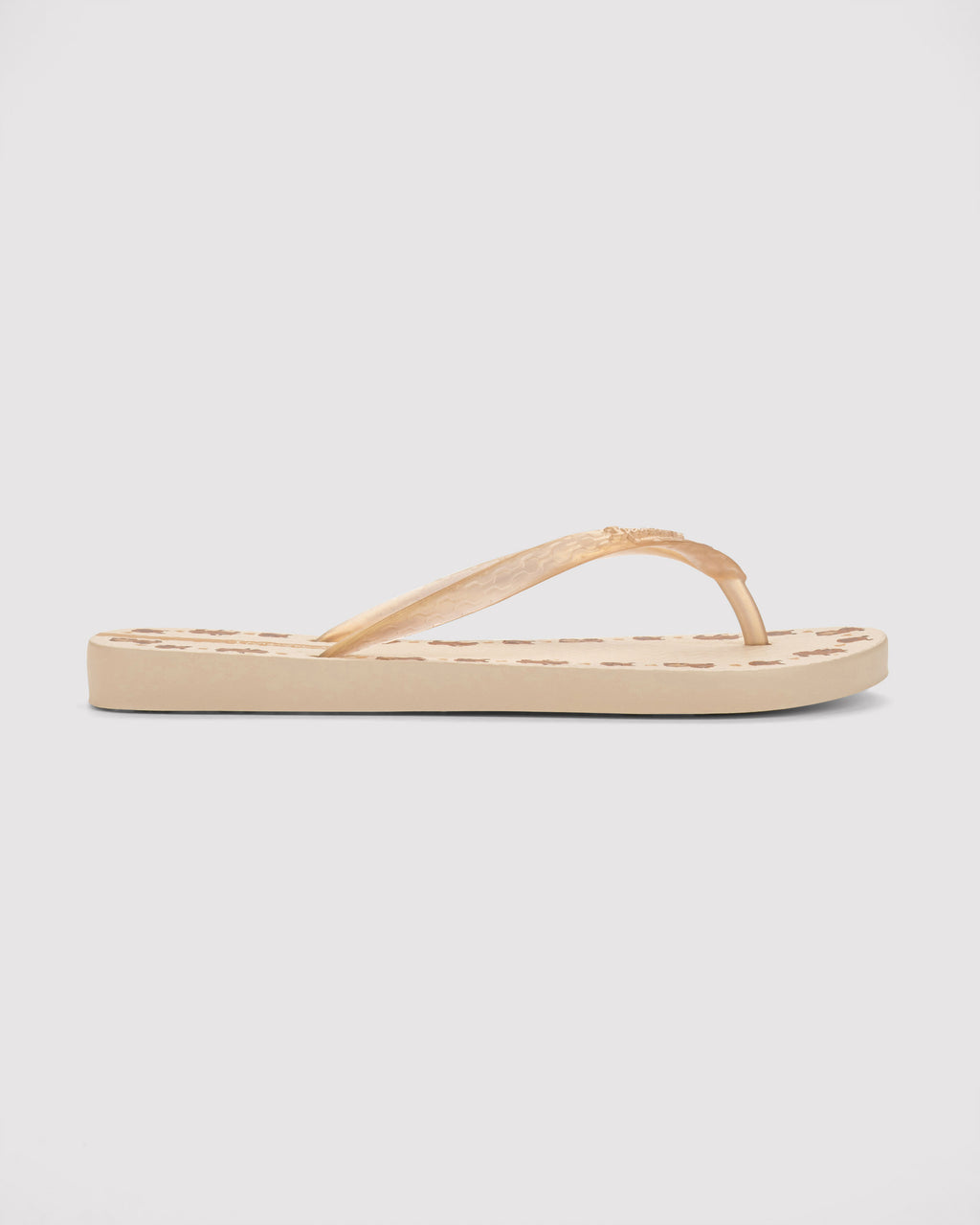 IPANEMA SANDALIA FLIP FLOP CAPIBARA LIGERA PLAYA MUJER 96642