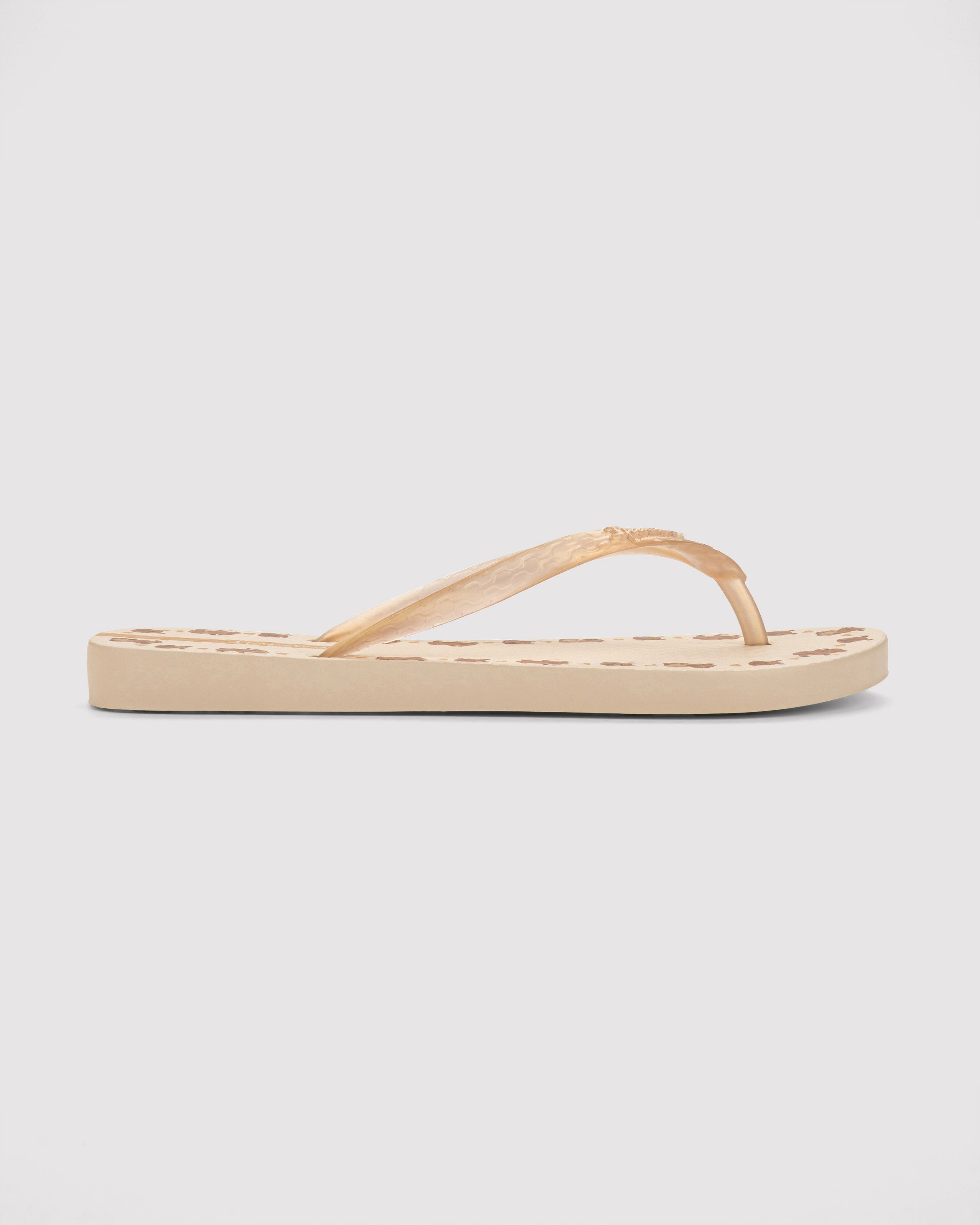 IPANEMA SANDALIA FLIP FLOP CAPIBARA LIGERA PLAYA MUJER 96642