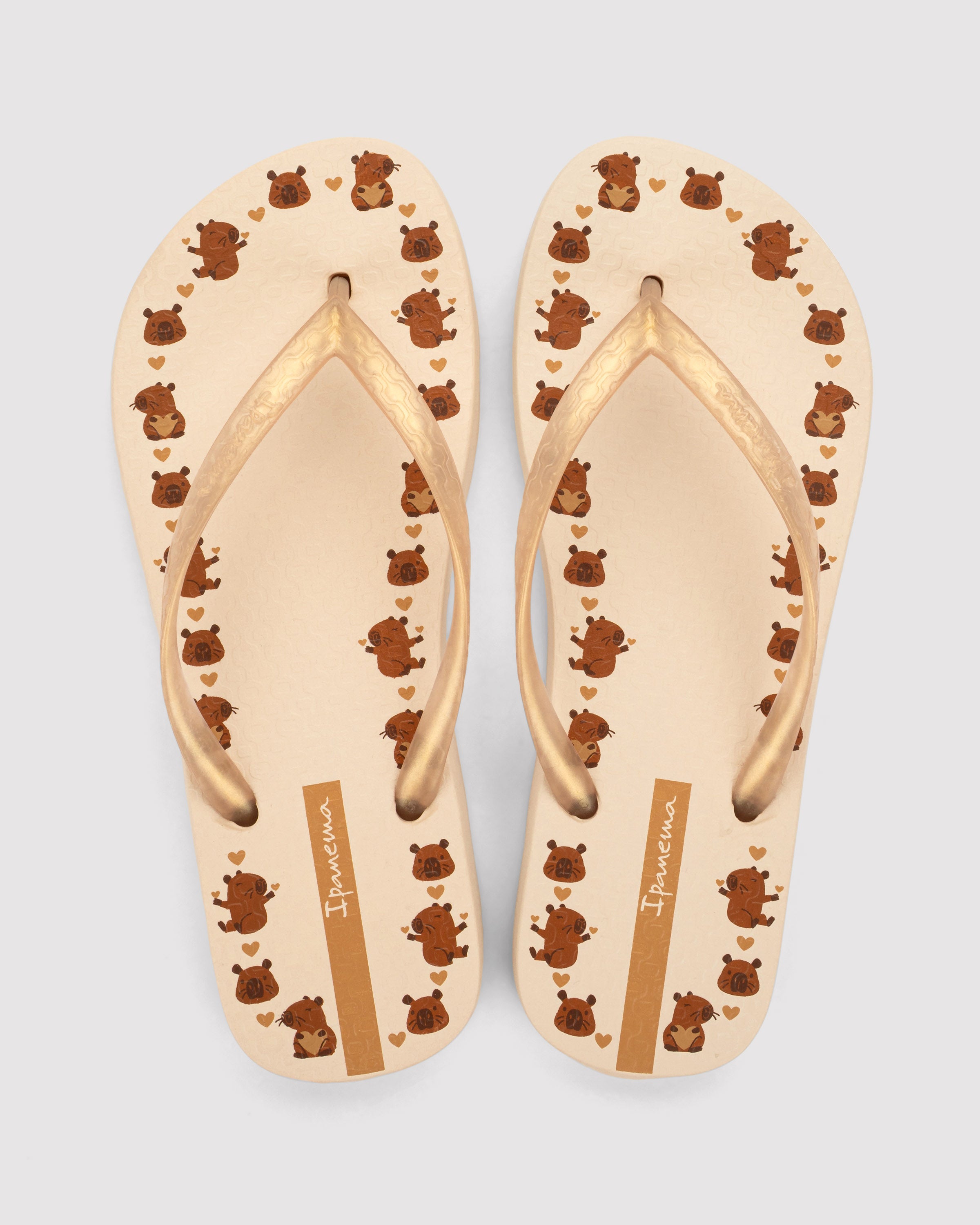 IPANEMA SANDALIA FLIP FLOP CAPIBARA LIGERA PLAYA MUJER 96642